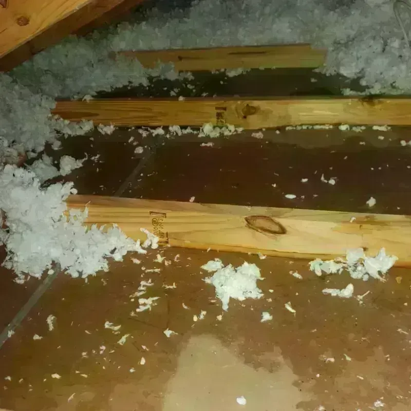 Attic Water Damage in Fairfax, IA